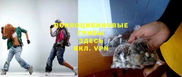 ПСИЛОЦИБИНОВЫЕ ГРИБЫ Лиски