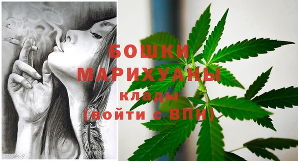 гашик Липки